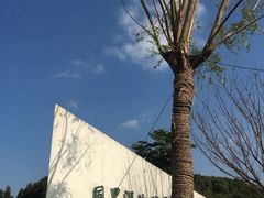 -同里国家湿地公园