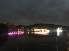 -大塘金香草谷