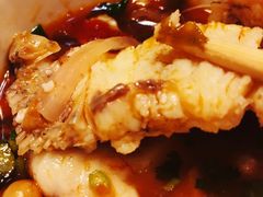 -玲泉黄腊丁生态鱼馆(雪松路店)