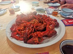 -怪怪龙虾·澳洲蓝龙上新(惊驾路店)