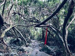 -呀诺达热带雨林