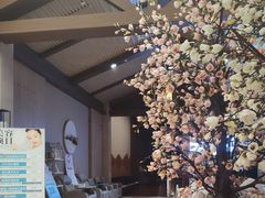 -汤连得温泉馆(宝山店)