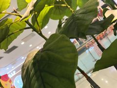 -滋府糕点(学府凯德店)