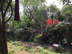 -花洲书院