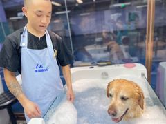 -FAELING PETS美天灵宠物(富力广场店)
