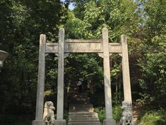 -赭山公园