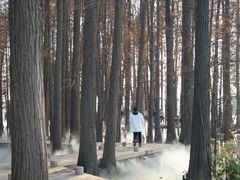 -东湖落雁景区