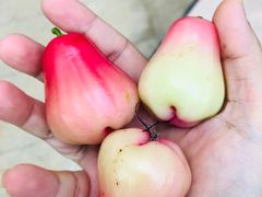 -Sasa的海(蜈支洲岛后海店)