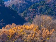-玉渡山自然风景区
