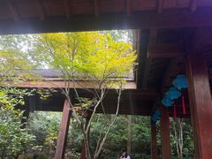 -天目湖御水温泉·度假酒店