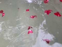 -天目湖涵田半山温泉
