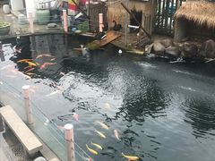 -湖鲜楼