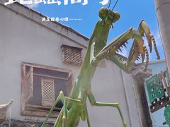 -昆虫窝子·特色云南菜(拓东路总店)