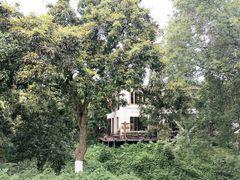 -张坝桂圆林公园