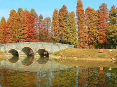-华南国家植物园-售票处