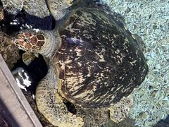 -福州罗源湾海洋世界旅游区