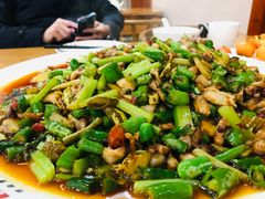 -功夫兔