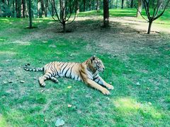 -北京野生动物园