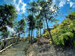 -梭布垭石林景区