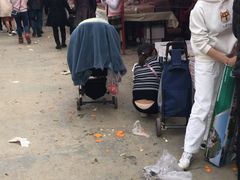 -秀丽东方