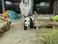 -海南热带野生动植物园