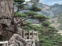 -黄山风景区