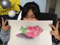 -西安小天鹅艺术团(金花路校区)