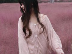 -嘉北郊野公园