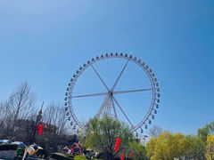 -辛玛王国游乐园