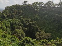 -海口火山口国家地质公园