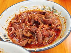 -高记什邡肖麻辣(成都店)