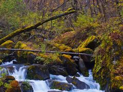 -叠溪松坪沟景区