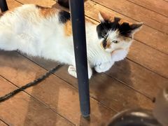 -微饮cafe