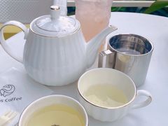 白桃乌龙茶-Cetus coffee鲸鱼座咖啡·拼豆(二仙桥公园店)