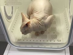 -拜鲁耶动物诊疗中心·宠家动物医院