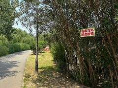 -西安浐灞国家湿地公园