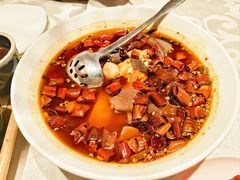 -孙大厨鸽子馆(丰收路店)