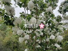 -共青国家森林公园-售票处