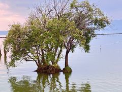 -呈贡滇池生态湿地公园