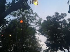-月满港海鲜酒家