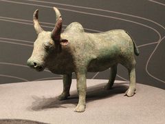 -广西壮族自治区博物馆