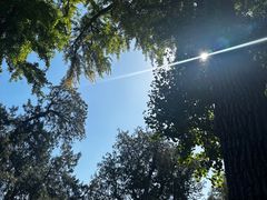 -泰山风景名胜区-普照寺