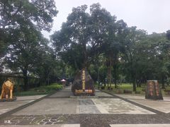 -海口火山口国家地质公园