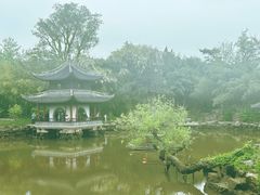 -水绘园