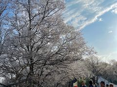-紫金山山顶公园