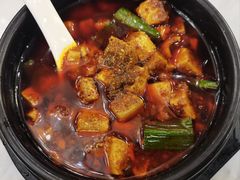 -陈麻婆豆腐总店