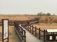 -西青郊野公园