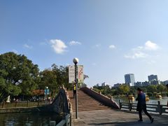 -月湖公园