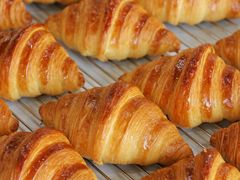 -可莎蜜兒(金堡店)