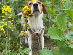 -中国天府农业博览园